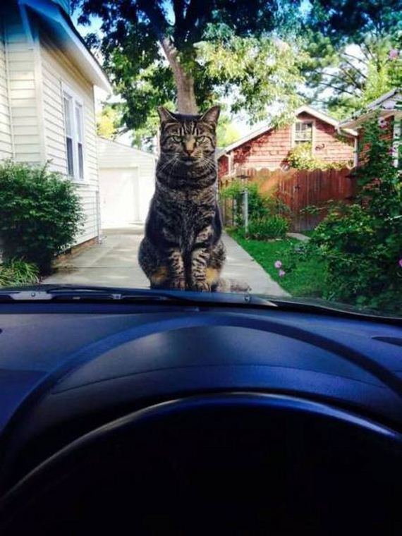 62-funny-pictures-1390