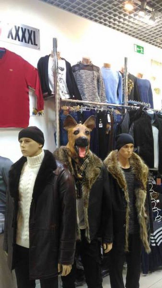 64-funny-pictures-1388