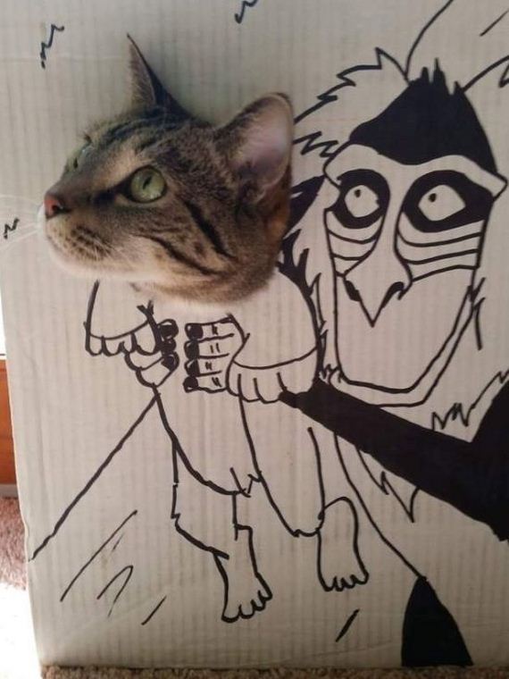 69-funny-pictures-1388