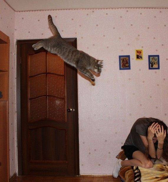 71-funny-pictures-1388
