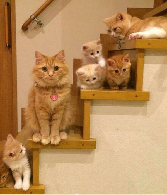 74-funny-pictures-1377