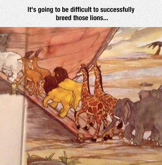 funny-noah-ark-male-lions