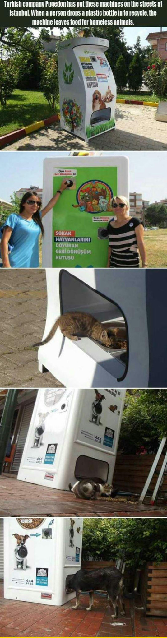 funny-turkish-company-plastic-bottle-animal-food