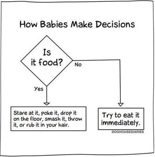 funny-babies-eat-everything-chart