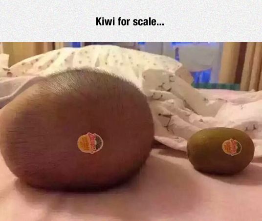 funny-baby-head-kiwi-sticker