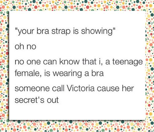 funny-bra-showing-quote-secret