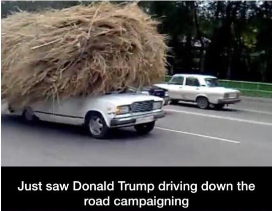 funny-car-wig-donald-trump