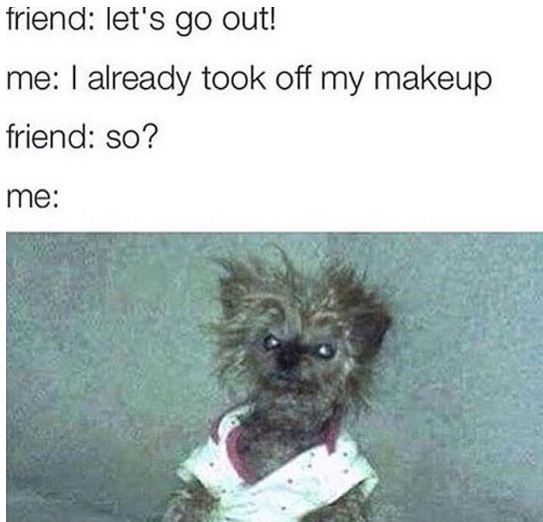 funny-dog-makeup-angry-face