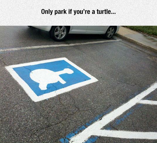 funny-handicap-parking-space-logo-turtle-paint