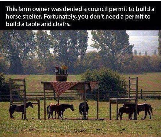 funny-horse-shelter-table-chairs-big