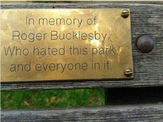 funny-park-bench-memory