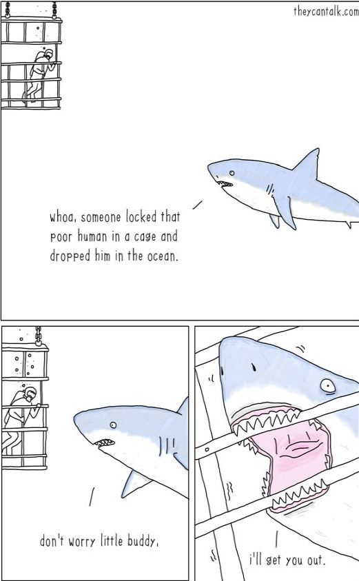 funny-shark-helping-man-cage