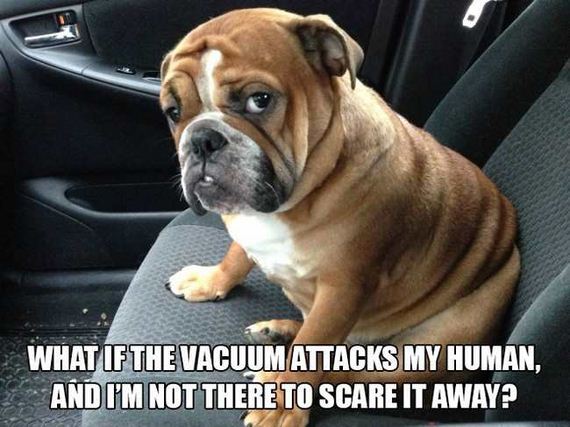 01-dog_thoughts