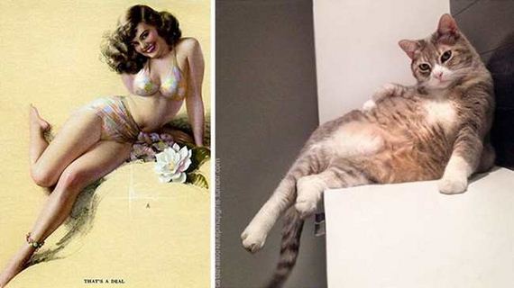 01-pinup_girl_cats