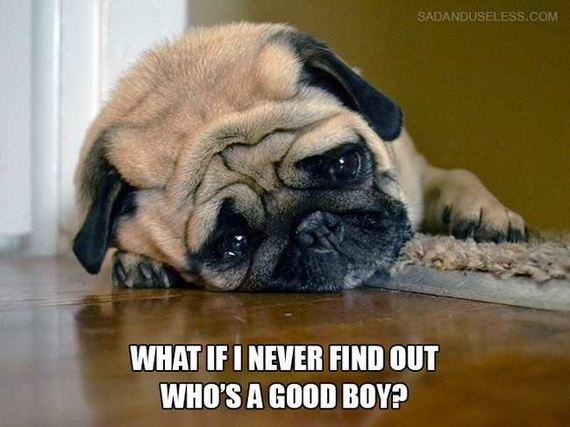 03-dog_thoughts