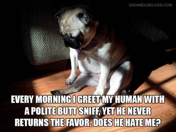 04-dog_thoughts
