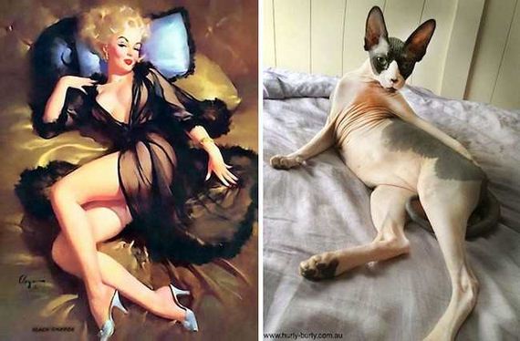 04-pinup_girl_cats