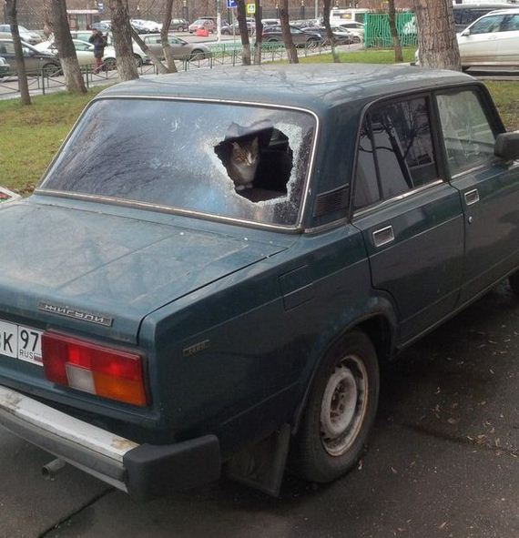 08-funny-pictures-1392