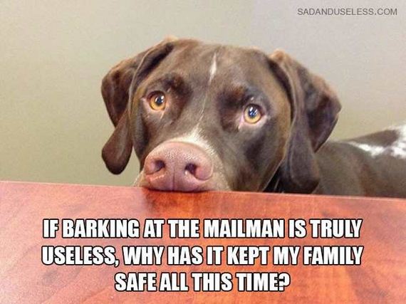 11-dog_thoughts
