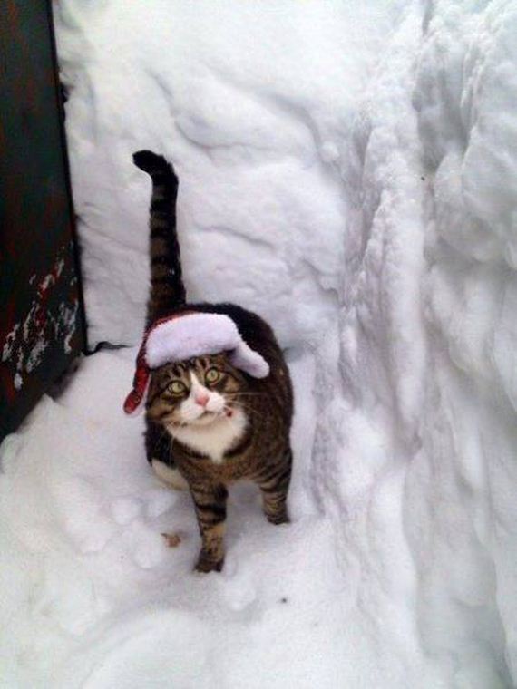 13-funny-pictures-1392