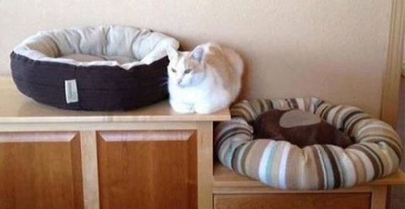 15-funny-pictures-1392