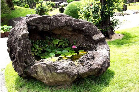 cool-boulder-pond-gardening