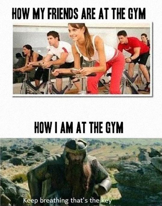cool-gym-bicycle-exercise-lotr