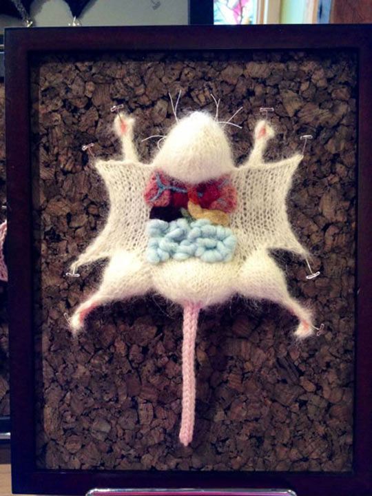 cool-wool-mouse-dissected