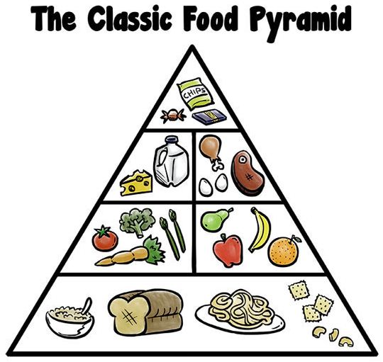 Food Pyramid Geometry - Barnorama