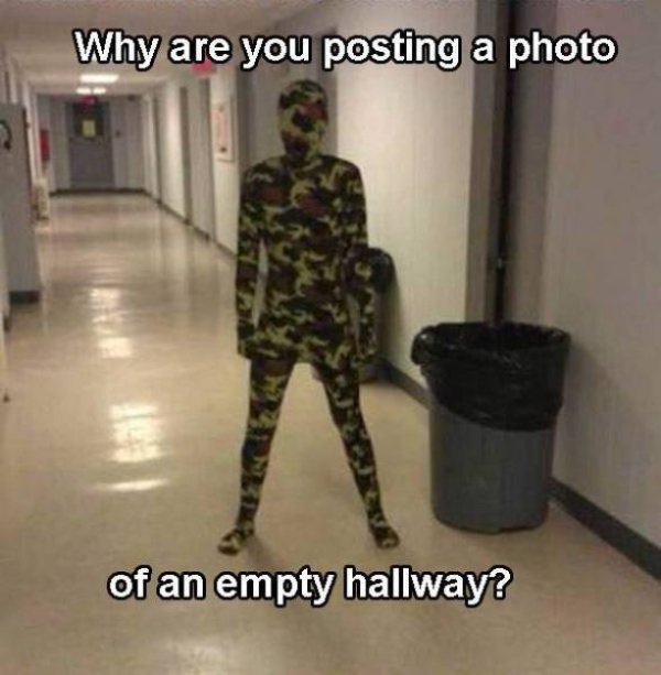 Funny Camouflage Memes - Barnorama