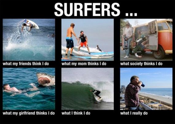 I Surfed All Over The Web For These Funny Surfing Memes Barnorama