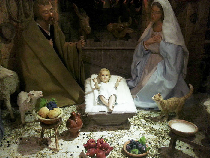 Everyone Can’t Stop Laughing After This Grumpy Cat Crashed A Nativity ...