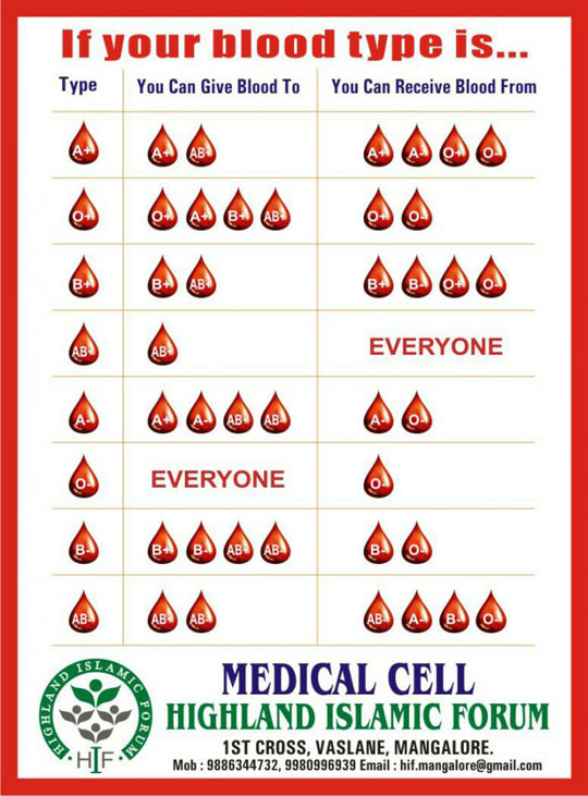 easy-blood-type-guide-barnorama