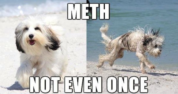 The Best Of The 'Meth: Not Even Once' Meme.