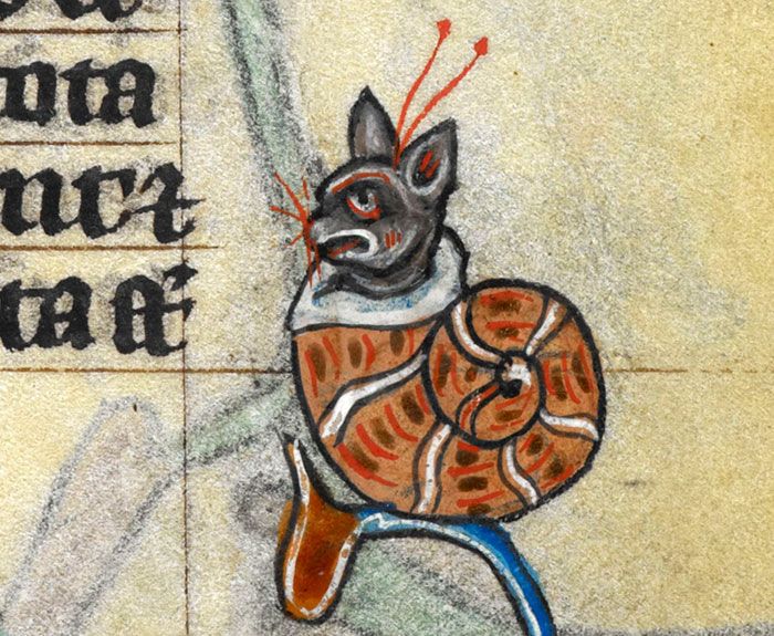 Medieval Cat  Paintings Barnorama
