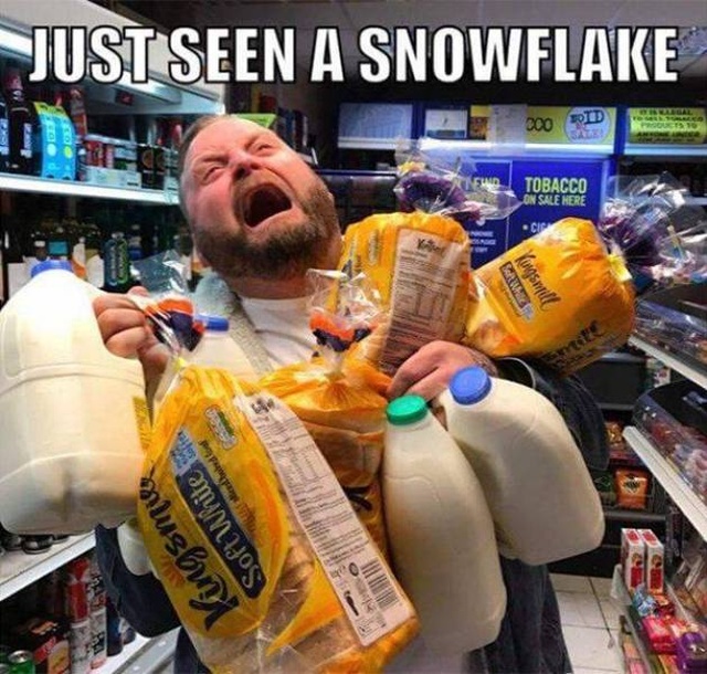 30 Funny Snow Day Memes - Barnorama