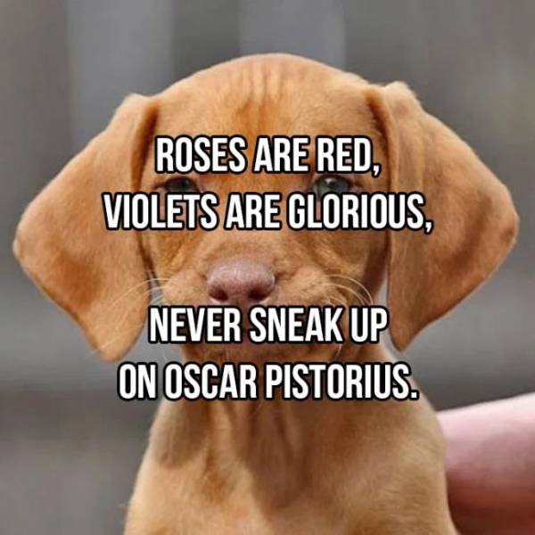 20 Inappropriate “Roses Are Red” Poems For Your Valentine - Barnorama