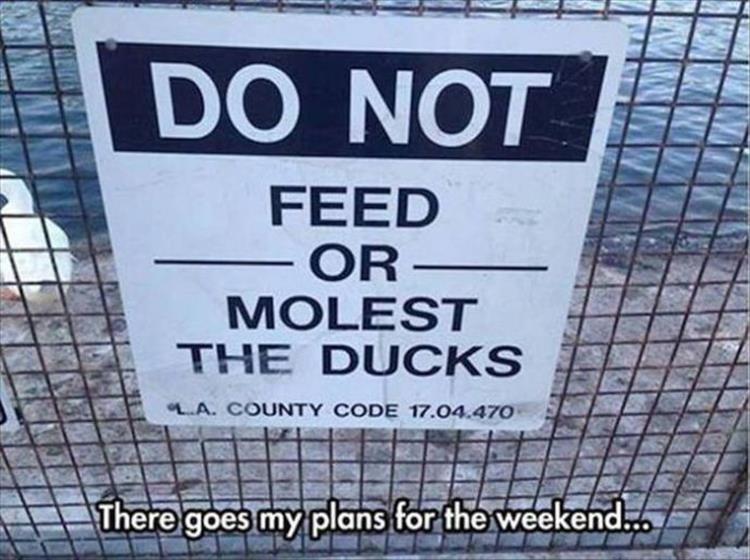 24 Hilarious Zoo Signs – Barnorama