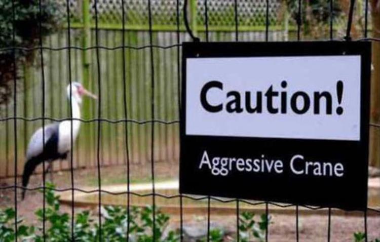 24 Hilarious Zoo Signs – Barnorama