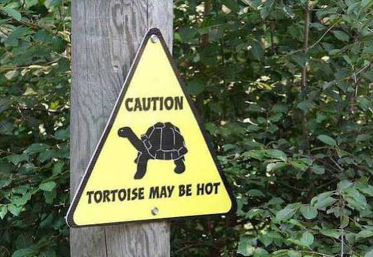 24 Hilarious Zoo Signs – Barnorama