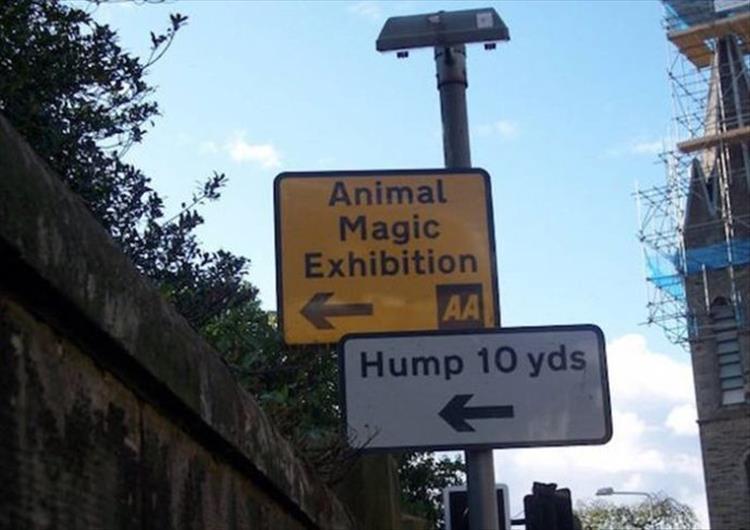 24 Hilarious Zoo Signs – Barnorama