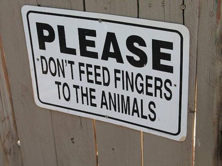 24 Hilarious Zoo Signs Barnorama
