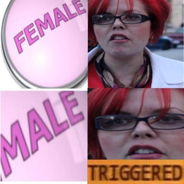 The Best Triggered Memes.