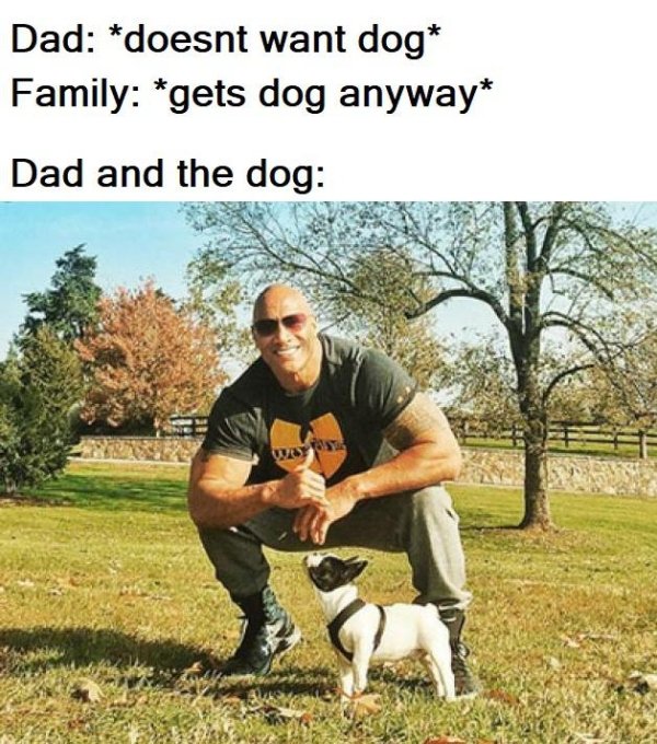 23 Happiest, Most Wholesome Heckin’ Memes Around The Net - Barnorama