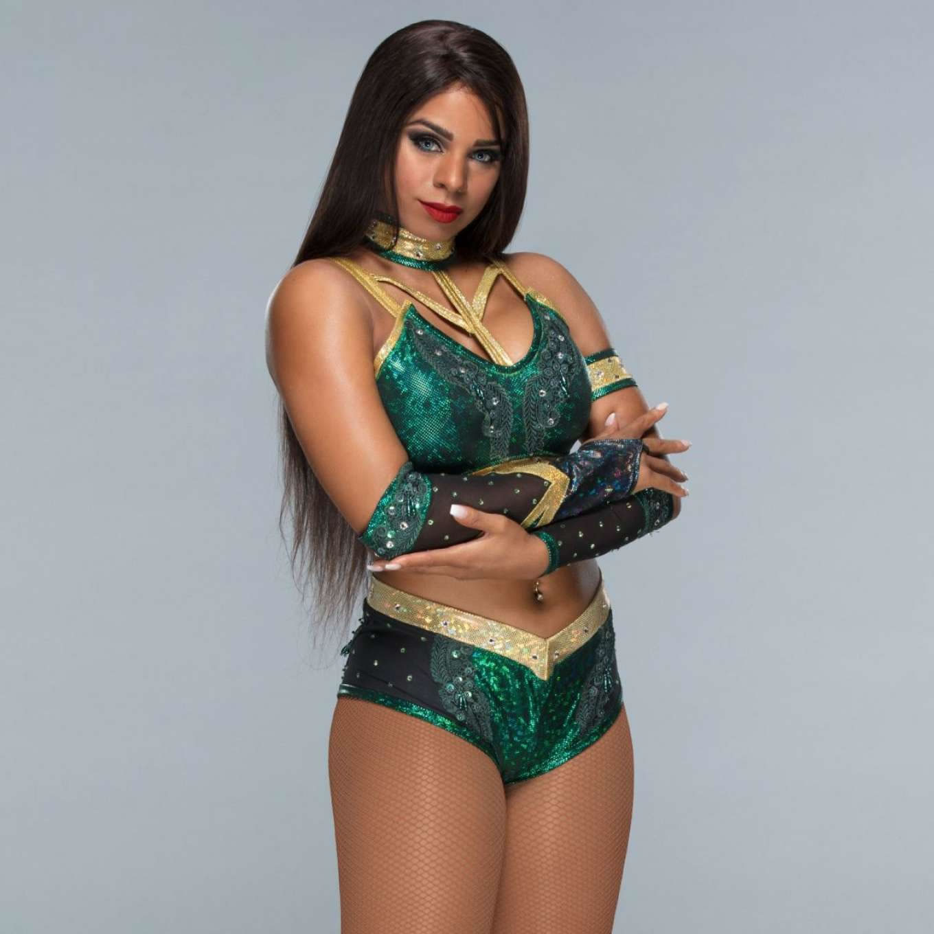 Sexy WWE Diva Renee Michelle.