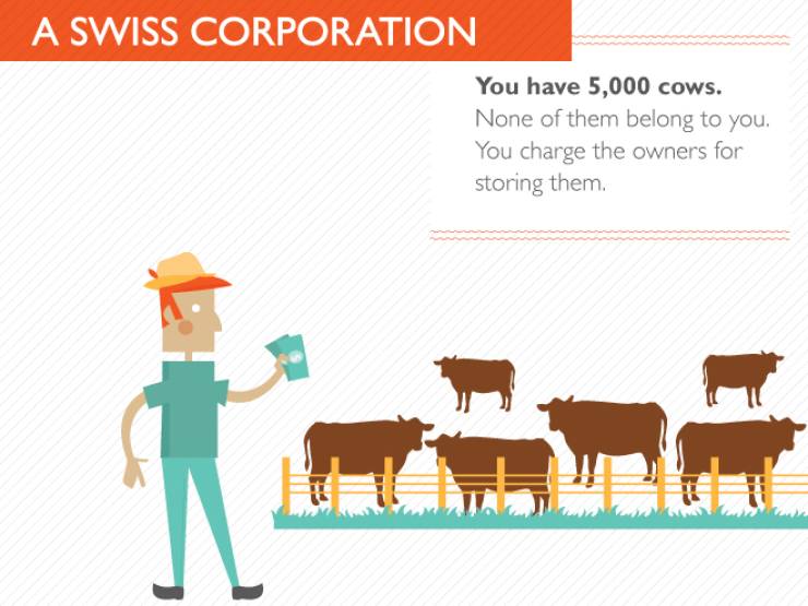 Two Cows Can Explain Everything – Barnorama