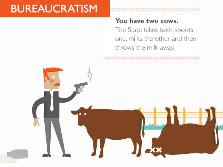 Two Cows Can Explain Everything – Barnorama