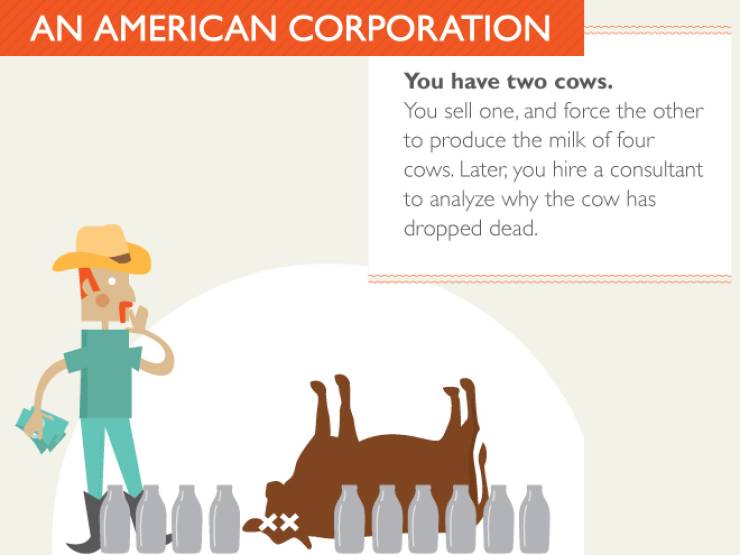 Two Cows Can Explain Everything – Barnorama