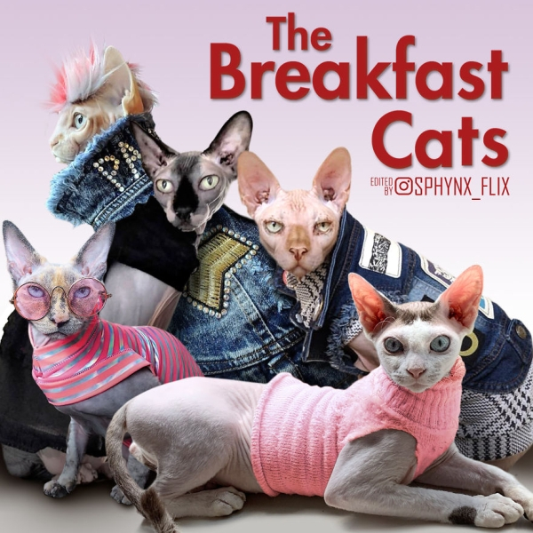 30 Hilarious Cat Movie Poster Parodies - Barnorama
