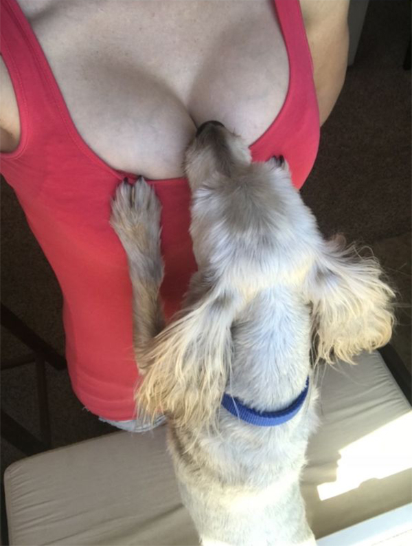 34 Sexy Girls Playing With Dogs 9